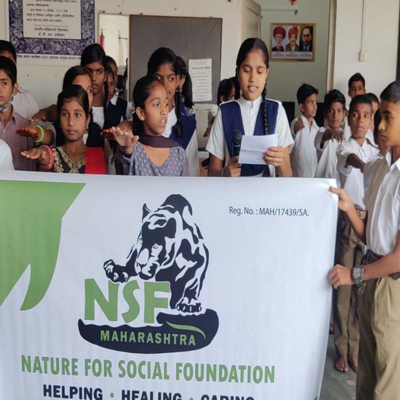 NSF Activities