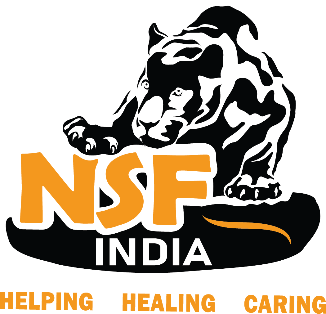 NSF India Logo