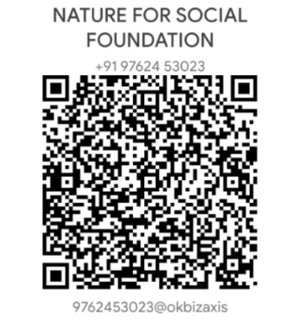 GPay QR Code